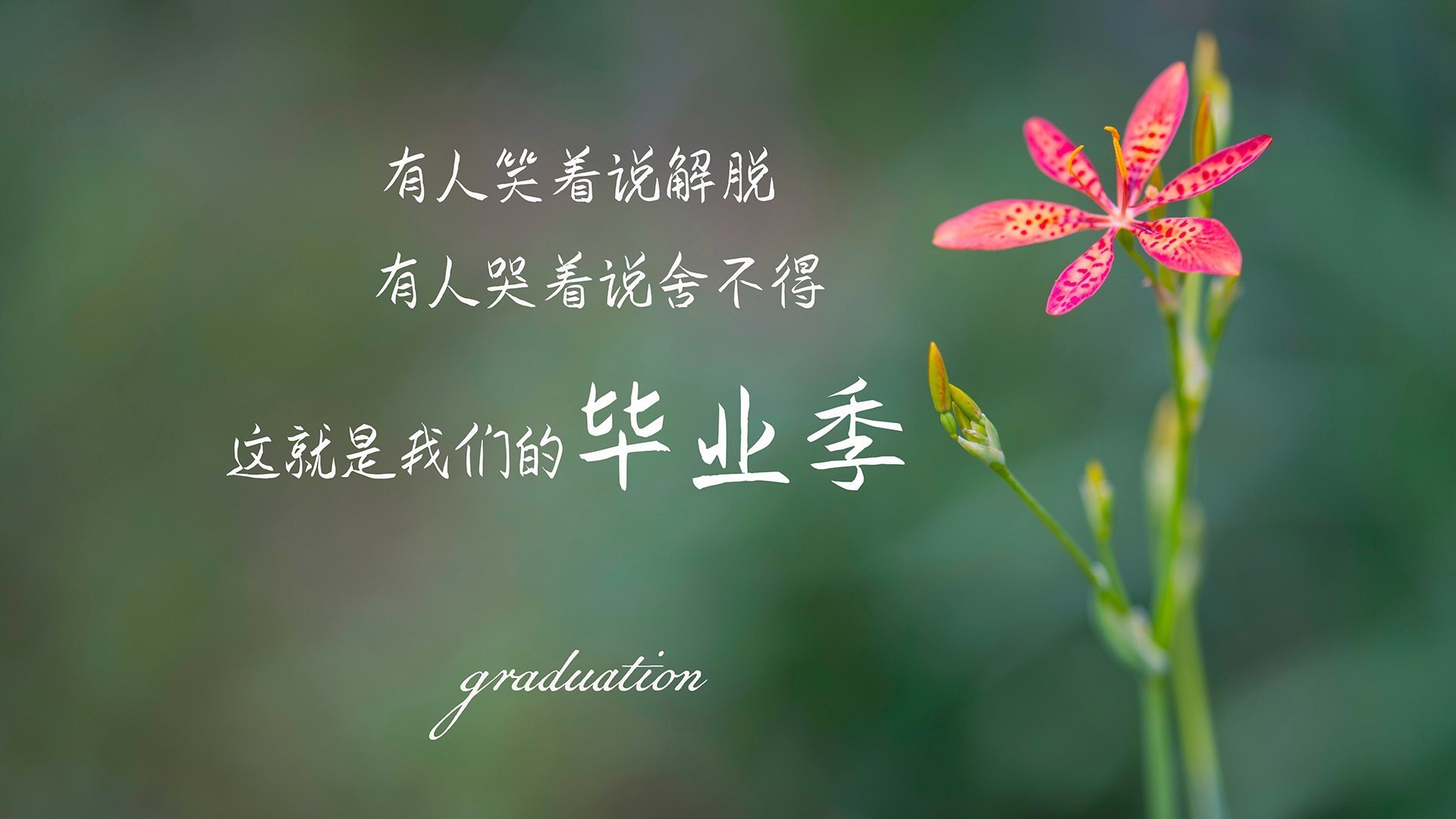 PSG.LGD赛季开局表现强劲，psg.lgd战队最新成员