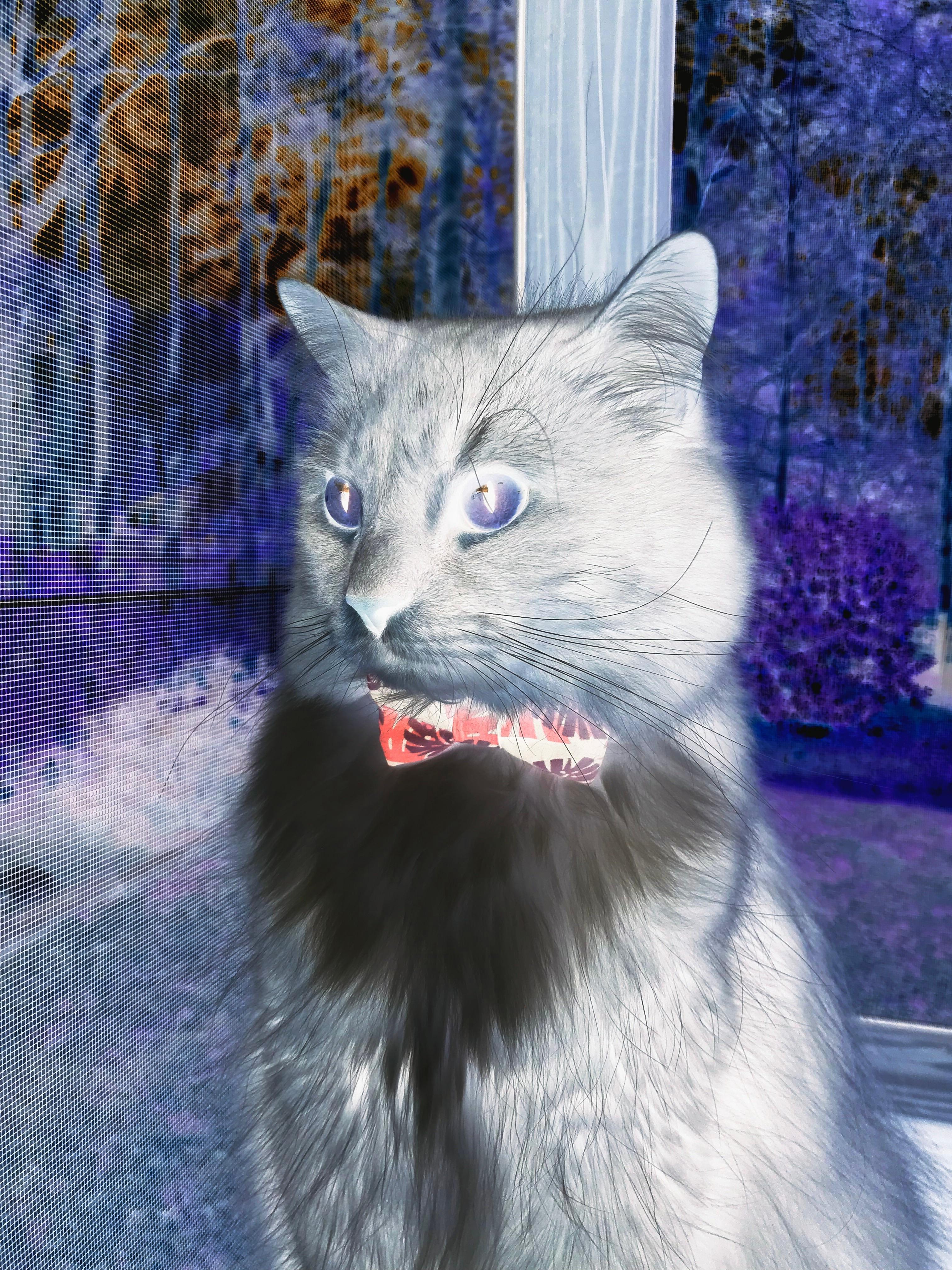 校园健身设施利用率提升对策研究,健身设施建设