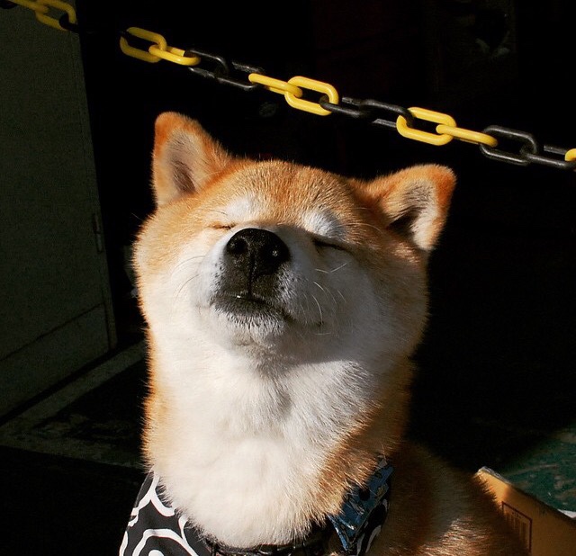 亚冠联赛中国队晋级 球员表现广受好评，中国亚冠资格