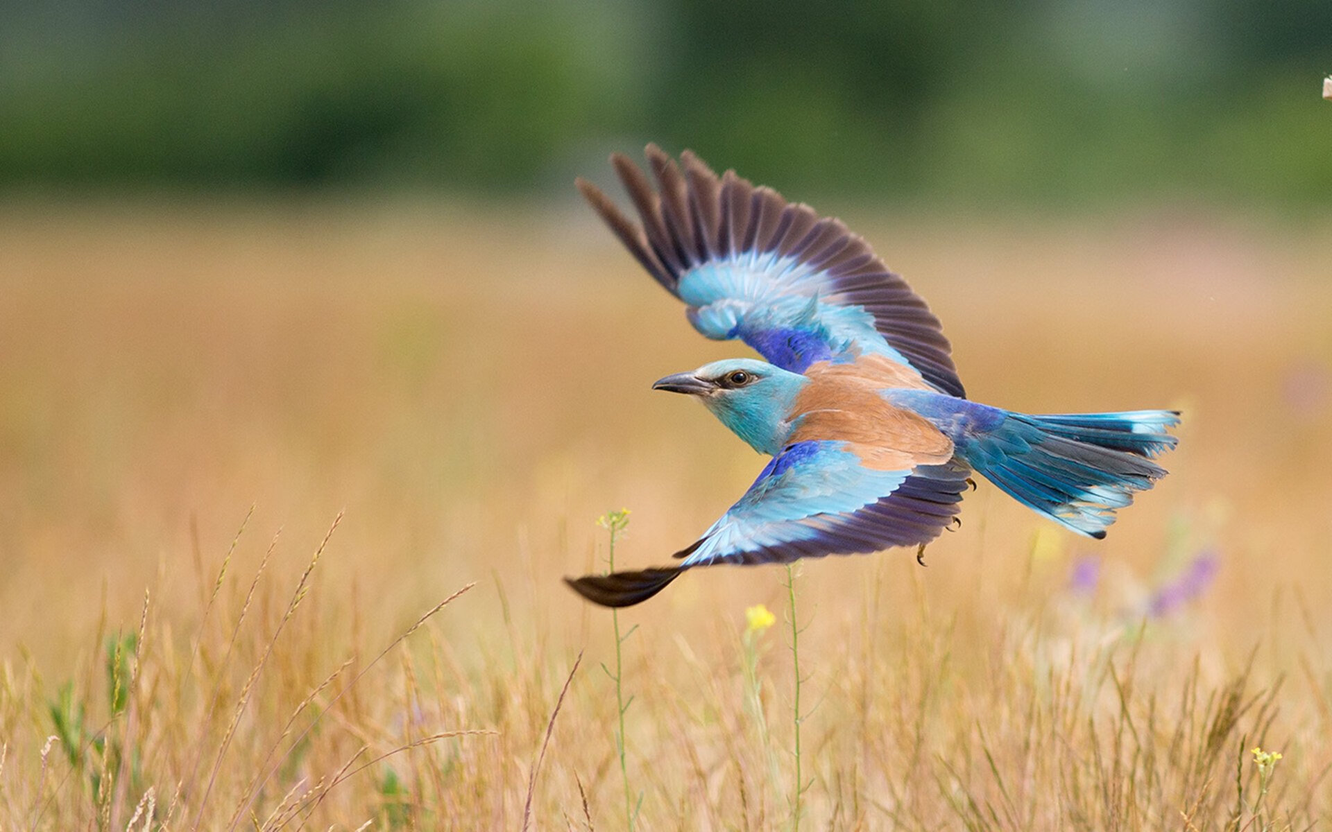 国家队整体战斗力提升难点，国家队战斗姿势