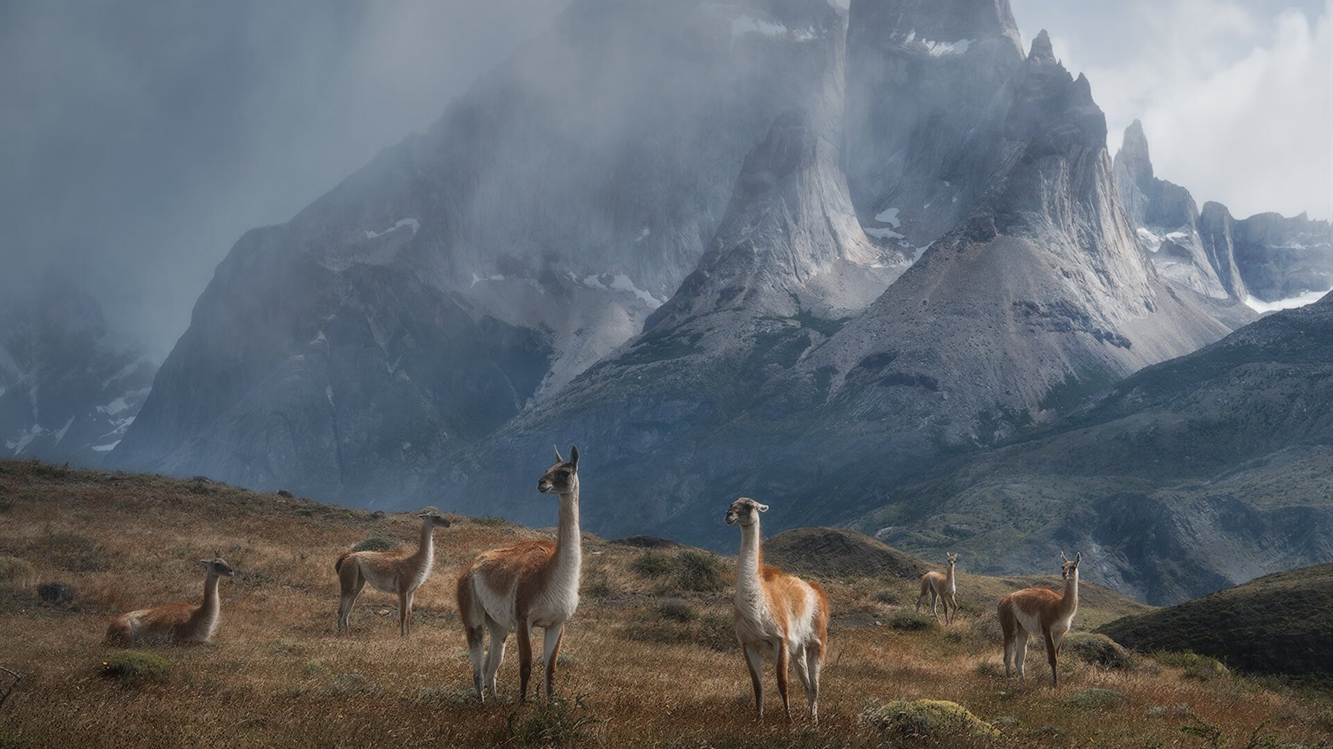 职业联赛竞争力与资金投入成正比吗，竞技职业联赛