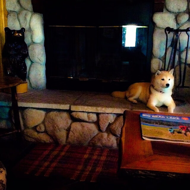 C罗参与纪录片拍摄讲述奋斗过程,c罗的纪录片