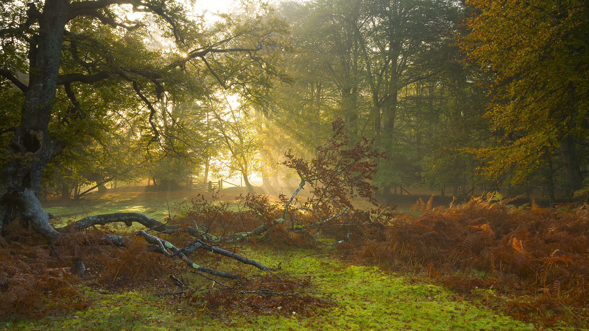 kaiyun中国官方网站-中学篮球开展篮球主题教育丰富体育内容，中学篮球教学的目的是什么