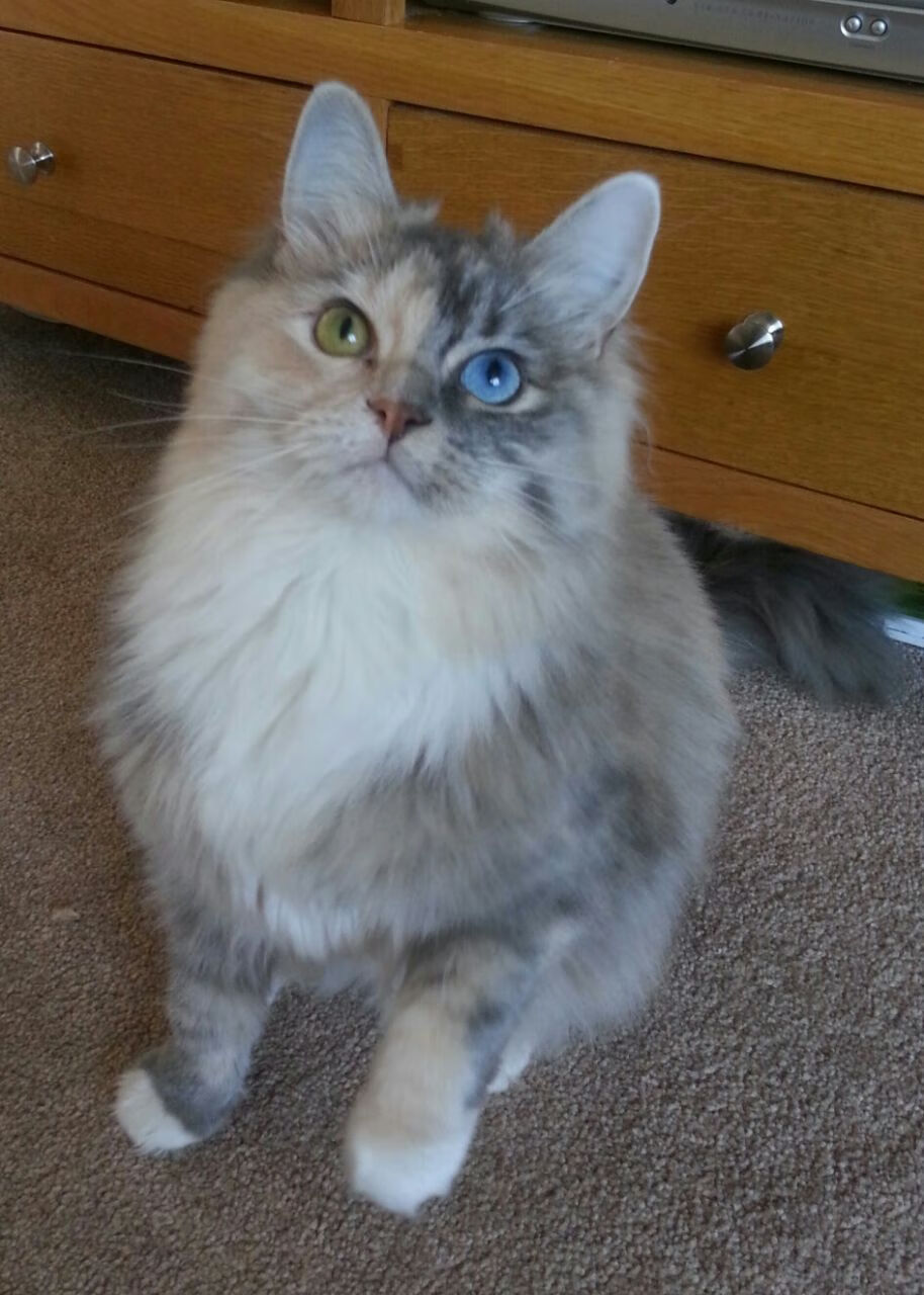 英超终场哨：巨大惊喜点燃现场氛围，英超著名中场