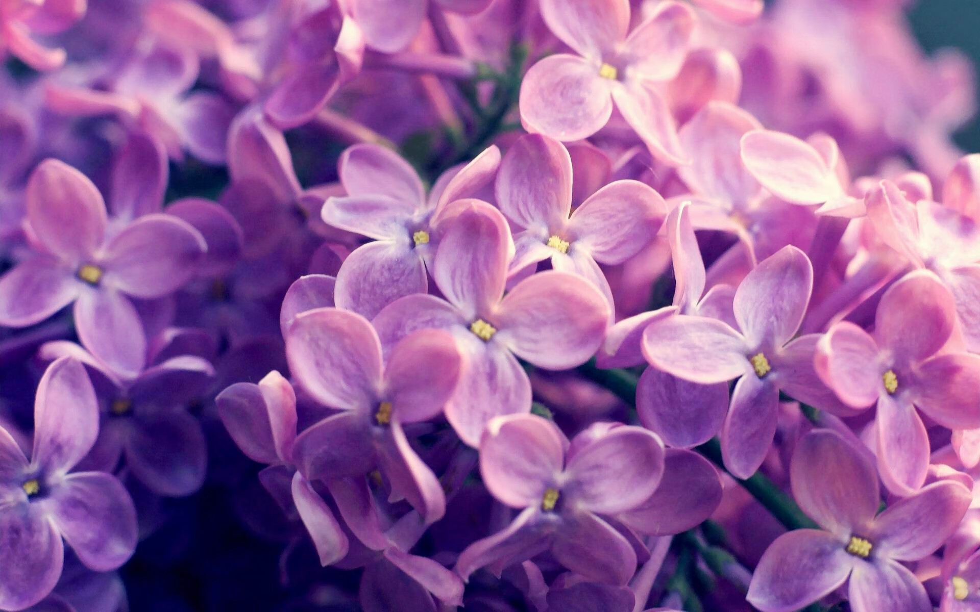 kaiyun网站-阿根廷准备迎战欧洲强敌，梅西状态火热