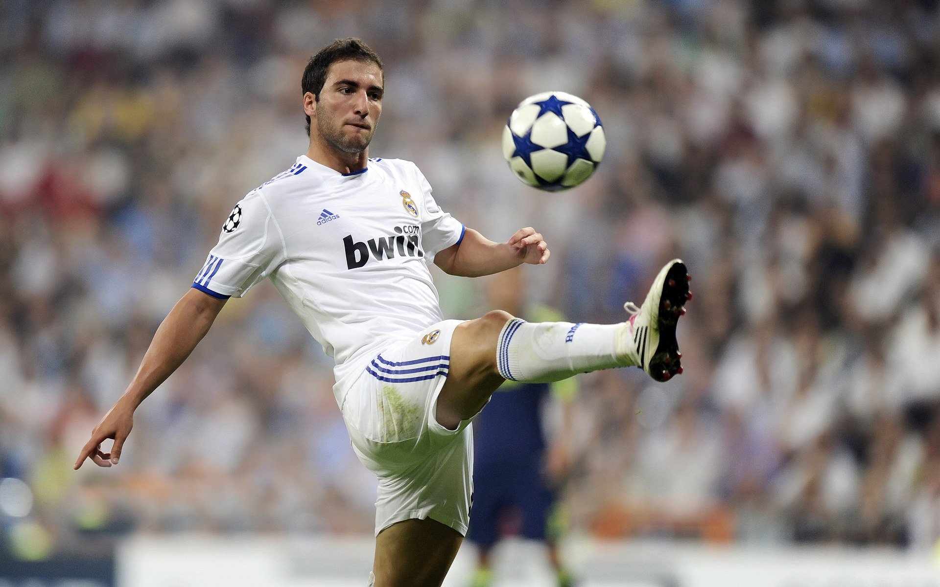 外援和本土球员配合不畅，cba外援和本土球员的区别